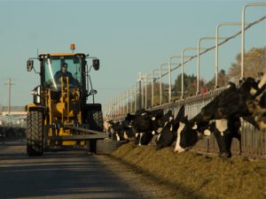 Quinn-Cat-Ag-Dairy-Wheel-Loader-M-Series